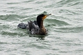 05 01 00_9382_edited-2